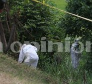 Alfredo Estévez / La Opinión