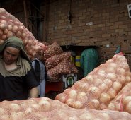 2,4 millones de toneladas de tubérculos, 269.000 toneladas de cárnicos, 50.000 de pescados y 29.000 de lácteos se pierden cada año. Colprensa
