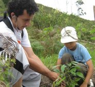 Plantar un árbol, caminar y hacer deportes son actividades saludables que mejoran la calidad de vida. Cortesía
