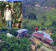 Bucarasica es uno de los municipio con tradición cafetera en la región. Cortesía