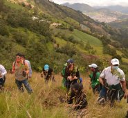 Los alisos los plantaron en la vereda Monteadentro. Cortesía