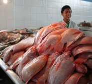 Archivo / La Opinión