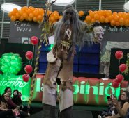 Este viernes se evaluarán las medidas de tránsito que serán tomadas este día. Archivo La Opinión