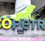 Ecopetrol instó a las autoridades gubernamentales, judiciales, policiales y militares a reforzar las acciones que se vienen implementando en contra de las bandas delictivas y garanticen la seguridad. Archivo