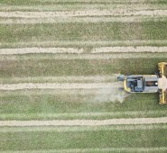 El programa apoya a startups en las primeras fases y también a aquellas que ya están en un nivel de escala más alto. Cortesía
