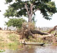 Al parecer, una comisión estaba desarrollando un proceso para posesionarse de unas tierras y esto generó el conflicto que arrojó el lamentable saldo. El Universal