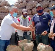 Cultivadores de papa vendieron por primera vez su producto a buen precio y directamente desde sus fincas. Cortesía/La Opinión