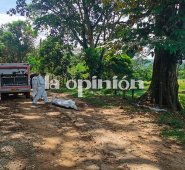 Cortesía para La Opinión