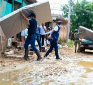 Luis Alfredo Estévez