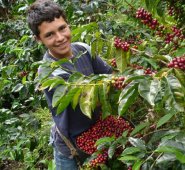 Las manos campesinas de la región son las productoras de uno de los productos más emblemáticos del país. Archivo