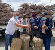 Los productores de papa de la provincia de Pamplona dicen que están trabajando a pérdida. Cortesía para La Opinión