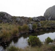 Archivo / La Opinión