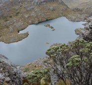 El Gobierno Nacional concertará con las comunidades en su propio territorio el tema de la delimitación del páramo de Santurbán. Archivo/La Opinión