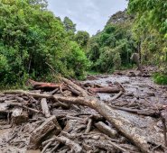 La  malla vial También se vio duramente impactada, con 122 vías y 14 puentes afectados. Cortesía