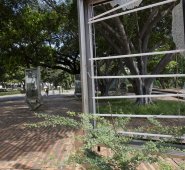 Luis Alfredo Estévez