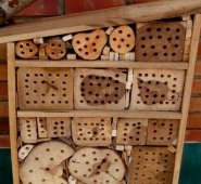 El hotel para abejas está en la zona de protección ambiental  Cortesía.