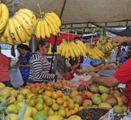 Un nuevo mercado campesino tendrá lugar en el municipio de Los Patios. Archivo La Opinión.