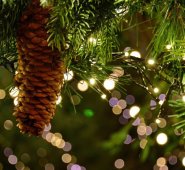 No toda la mercancía que se ofrece cuenta con el mismo nivel de calidad, seguridad o la máxima tecnología que se desearía. Cortesía