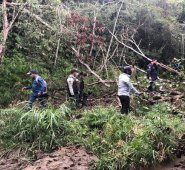 Insisten en la creación del parque lineal del río Tejo para mitigar la contaminación ambiental. Cortesía