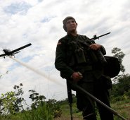 Aspersión aérea con glifosato. Colprensa