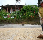 Durante su mandato, el gobierno de Iván Duque ha asignado $123.000 millones para renovación. Archivo La Opinión