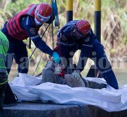 El cuerpo de Bomberos de Cúcuta y la Brinho adelantaron el rescate y la inspección del cadáver.
 Alfredo Estévez