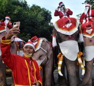 Los niños de Ayutthaya han recibido la visita de estos elefantes vestidos de Papá Noel desde hace 17 años. AFP