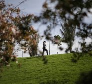 Por ahora, miles de ciudadanos salen a los parques a realizar actividades deportivas. Colprensa