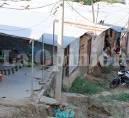 Alfredo Estévez / La Opinión