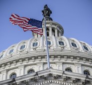 El demócrata Biden, de 78 años, podrá contar con una mayoría en la Cámara de Representantes. AFP