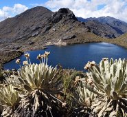 Archivo / La Opinión