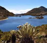 Archivo / La Opinión