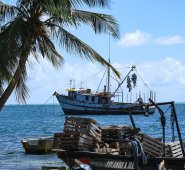 La Ley General de Turismo fue actualizada en medio de la pandemia.  Colprensa