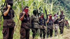 AFP