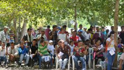 Archivo La Opinión