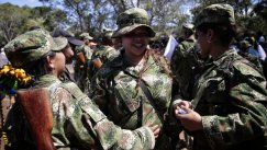 Colprensa