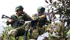 AFP