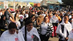 Colprensa