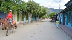 Archivo/La Opinión