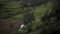 Colprensa 