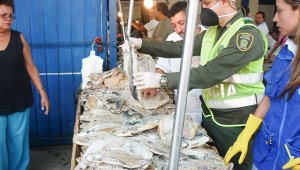 Los controles también se empezaron a efectuar junto a alcaldía en plazas de mercado y puntos de acopio de venta de pescado para revisar el estado de los alimentos. Foto cortesía para La Opinión