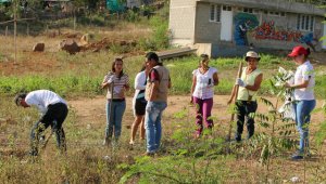 En Las Delicias, la asociación mujeres luchando por un Sueño tomaron la batuta a la hora de limpiar los predios aledaños y sembrar los árboles nativos.  Cortesía