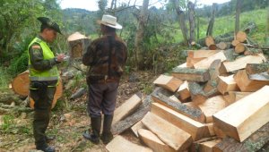Las autoridades municipales y ambientales destruyeron varios hornos y decomisaron madera en la zona rural de Pamplona.