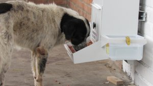 El primer comedor fue instalado en Cenabastos. Cortesía
