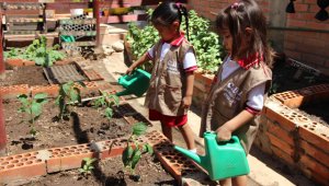 En el CDI Aurora de Colores de Atalaya, los niños tienen un proyecto de huerta escolar. Rodrigo Sandoval