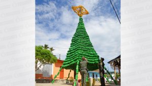 El árbol mide 15 metros y fue  construido con 3 mil botellas plásticas de 2 y 3 litros.. La base está hecha con un tubo metálico y la estrella del árbol está construida con botellas de menor tamaño Rodrigo Sandoval