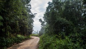 El ingreso es por una carretera abierta que los llevará hasta la entrada del sendero. Juan Pablo Bayona
