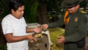 La campaña ‘Tu casa no es mi casa’, liderada por la Fundación Adopción Canina Manatial y la Policía Ambiental, empezó con pie derecho el año. Alfredo Estévez