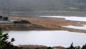 El fenómeno de 'El Niño' le está pasando una fuerte factura a los embalses del país cuyos caudales disminuyen cada día con más fuerza. Colprensa