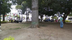 Lass zonas verdes desaparecieron del parque 29 de Mayo, como consecuencia de la sequía y de la falta de riego. Javier Saravia